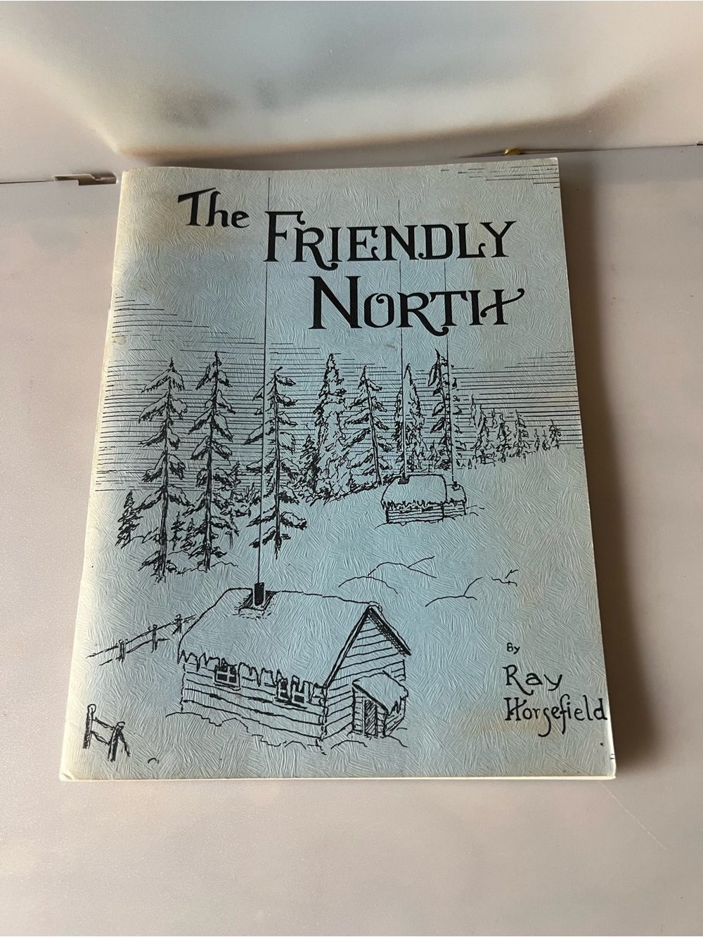 Friendly North Light Blue Art Print by Ray Horgfield